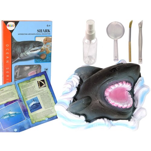 Ammonite Shark Excavation Educational Kit Cene