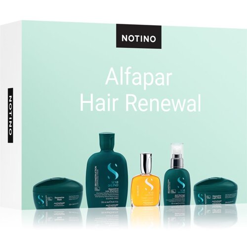 Beauty Discovery Box Notino XL - Alfaparf Hair Renewal set za ženske Cene