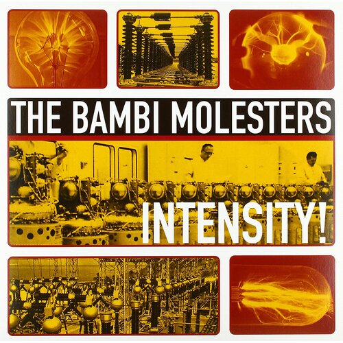 DANCING BEAR BAMBI MOLESTERS - Intensity! lp Slike
