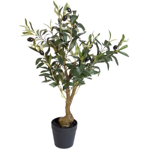Lilium dekorativno stablo masline 60cm LTJ148362 Slike