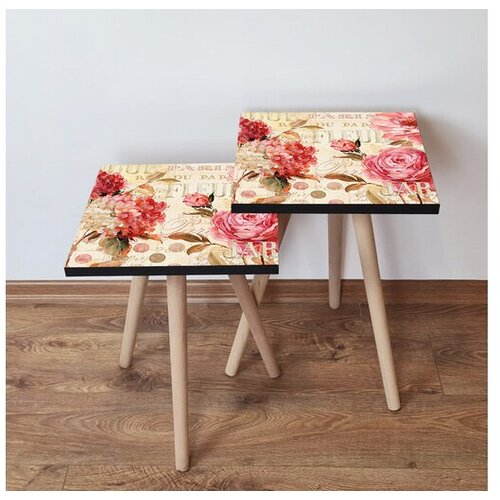 Hanah home set stolića za kafu 2Shp451, 2 dijela, šareni Cene