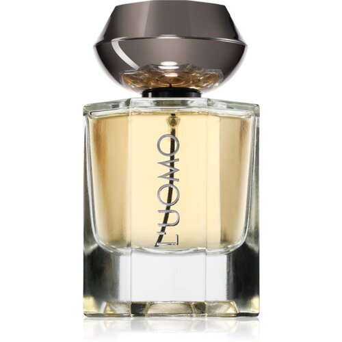 Fragrance World Fw L'Uomo parfumska voda za moške 100 ml Cene