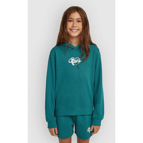 O&amp;#039;neill Essentials Script Kids Pulover s kapuco botanical heat Slike