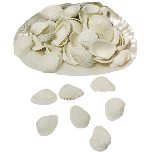 RAYHER &amp;Scaron;koljke 250g, (20634018) Slike