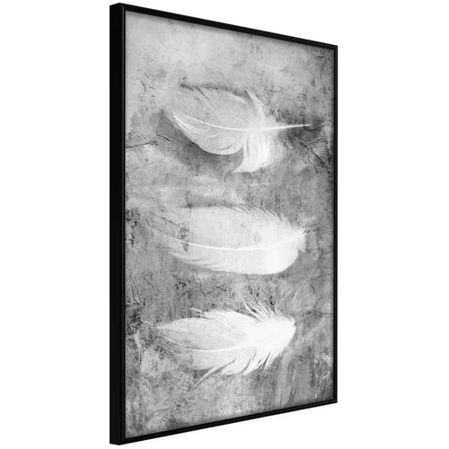  Poster - Delicate Feathers 20x30