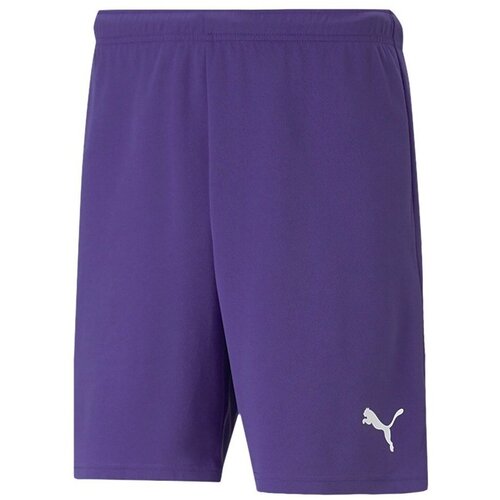 Puma Teamrise Ljubičasta Cijene