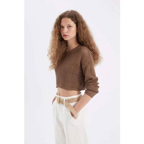 Defacto Relax Fit Knit Detail Crop Knitwear Sweater