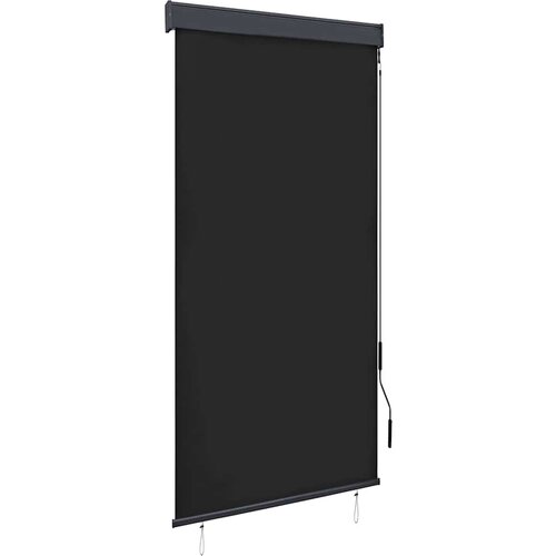  Vanjska roleta 100 x 250 cm antracit Cijene