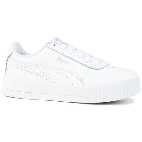 Puma Carina sarena Slike
