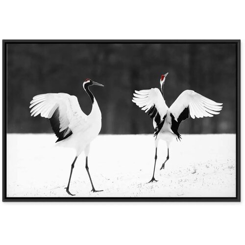  Slika - Dancing Cranes (1 Part) Wide 90x60 U crnom drvenom okviru Slike
