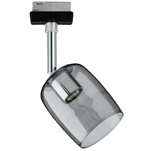PAULMANN URail LED spot svjetiljka Blossom (10 W, Crna, G9, 1 Kom.) Cijene