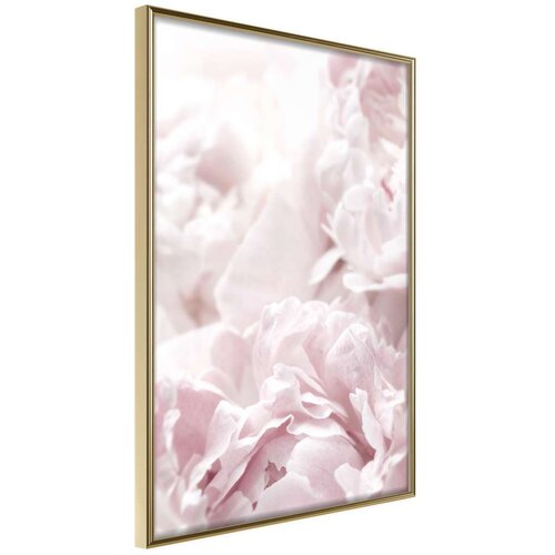  Poster - Joyful Morning 30x45 Cijene
