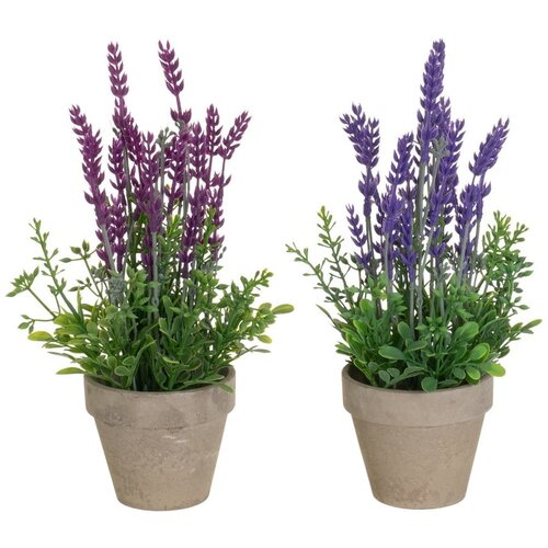 Casa Selecci&amp;oacute;n Umetna sivka 2 ks (vi&amp;scaron;ina 27 cm) &amp;ndash; Slike