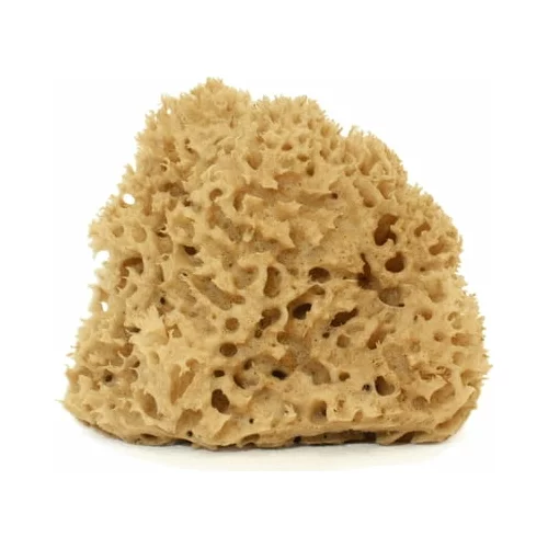 Cose della Natura honeycomb - naravna spužva - velika, 12-14 g