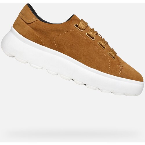 Geox Brown women&amp;#039;s sneakers Spherica EC4.1 - Women&amp;#039;s Slike