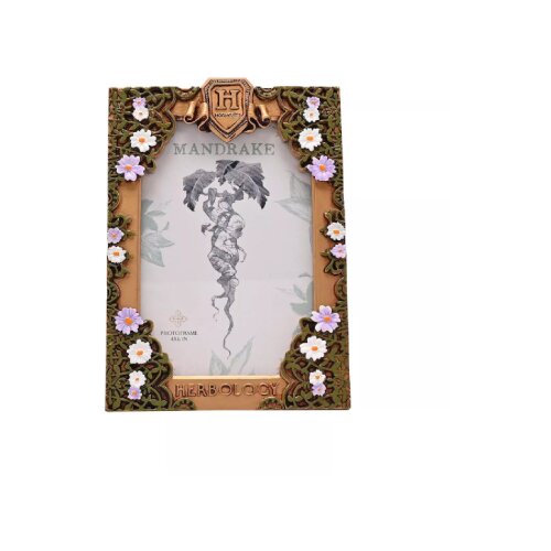 Widdop & Co. Harry Potter - Foto ram - Harry Potter, Herbology, Warner Bros Cene