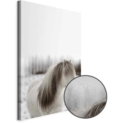  Slika - Horse Mane (1 Part) Vertical 80x120 Premium Print Cene