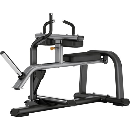  Sprava Toorx Seated Calf Raise FWX 9700 Cijene