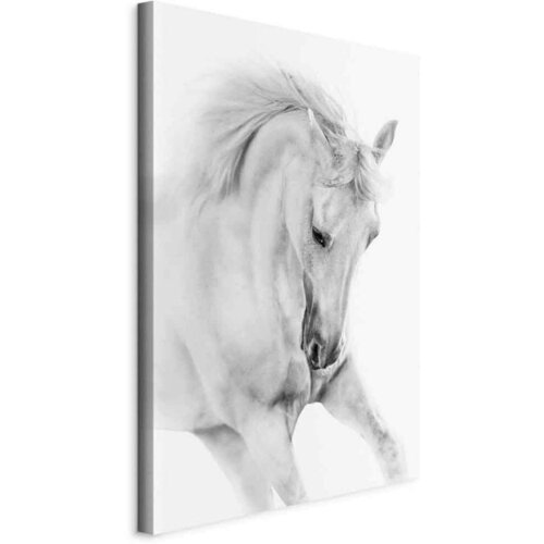 Artgeist Slika Na Platnu White Horse Cene