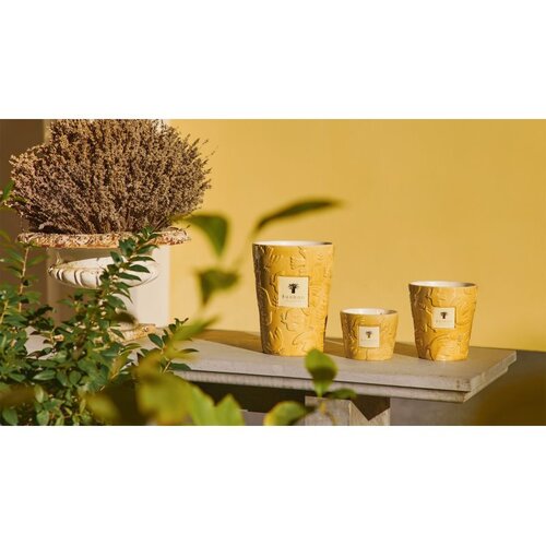 Baobab Collection Paz Dove mirisna svijeća 500 g Slike