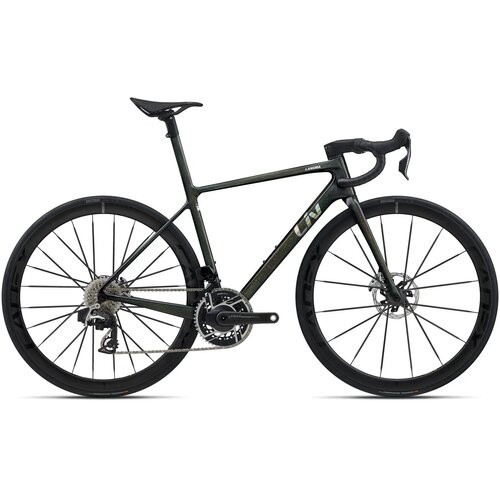  Bicikl LIV Langma Advanced SL 0 Rainbow Black - M Cijene