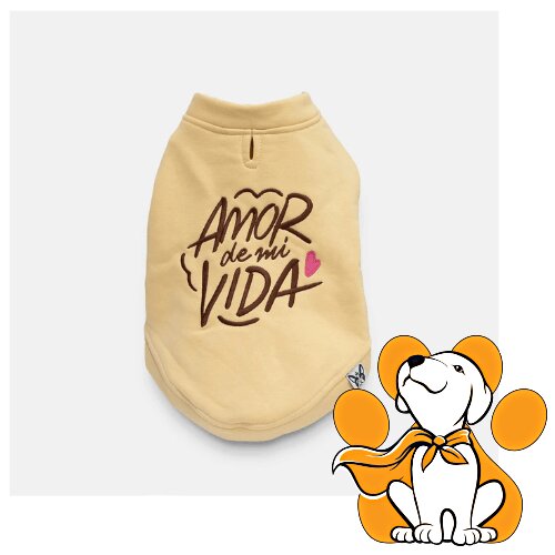 El Shapo duks amor de mi vida xs Cene