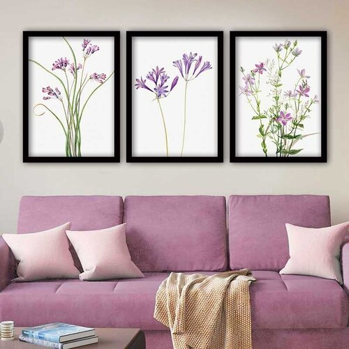 Wallity Set uramljenih slika 3SC_2613520, 3 Dela Cene