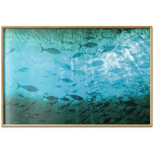  Plakat - Group of Dark Fish 60x40 Zlatni okvir Slike