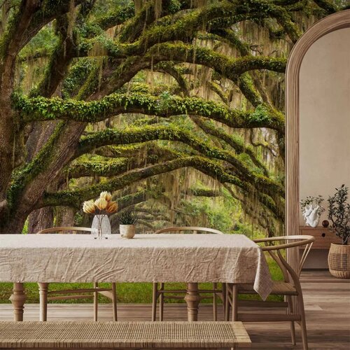  Foto tapeta - Tree embrace 350x256 Slike