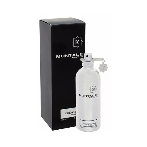 Montale Fougeres Marine parfemska voda 100 ml unisex