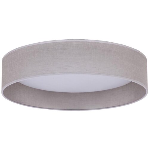  Duolla - LED plafonsko svetlo ROLLER LED/24W/230V, svetlo sive boje, prečnik 45 cm Cene