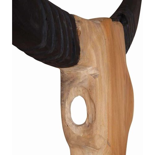  Skulptura lubanje bika tikovina 66x15x88 cm Slike