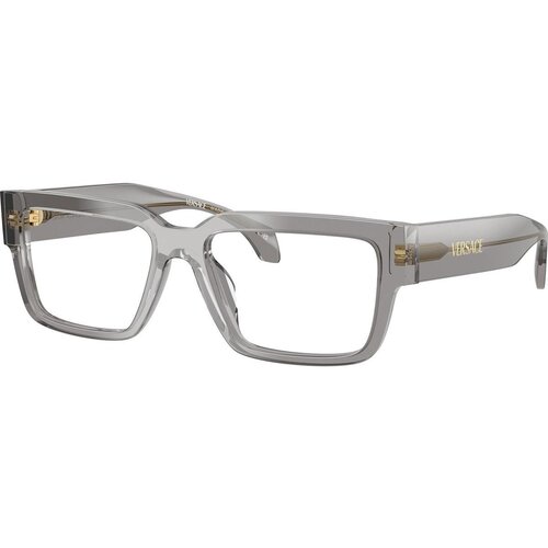 Versace VE3374U 5510 L (55) Siva/Kristalna Slike