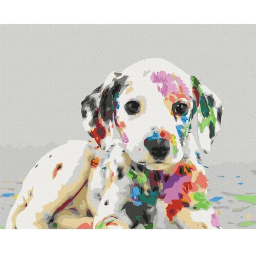  Slika za samostalno slikanje - Colourful Puppy 50x40 Slike