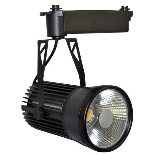 Šinski LED reflektor TL04-30 BK Cene
