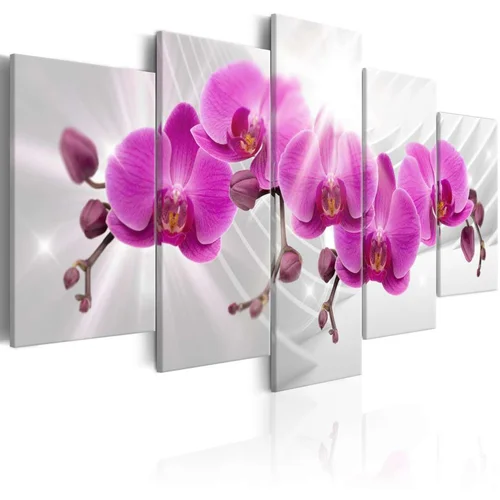  Slika - Abstract Garden: Pink Orchids 200x100