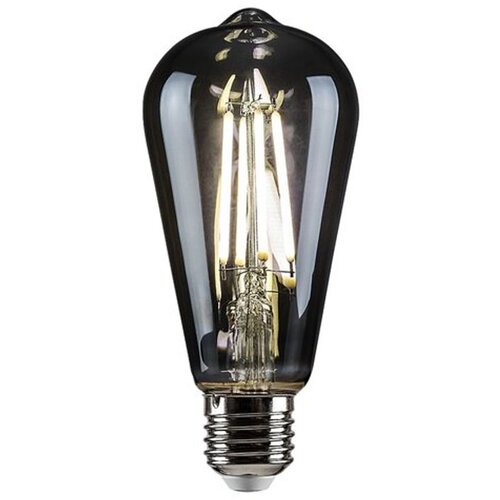 Rabalux Filament-LED sijalica E27 ST64 dimljeno 6 W 4000 K 79223 Slike