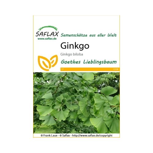 Saflax ginko Slike