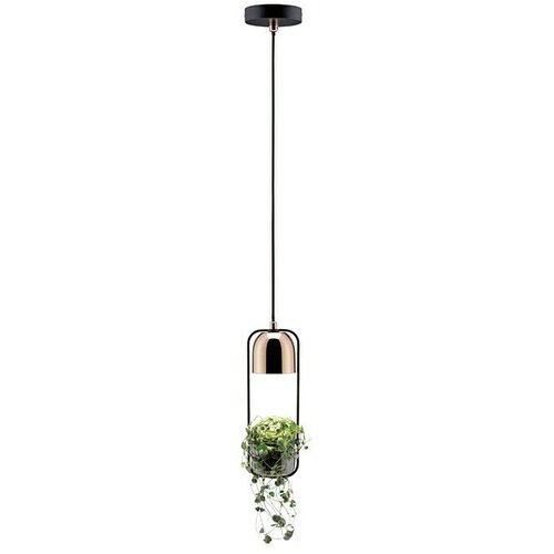 PAULMANN Fanja Visilica (20 W, Crno-bakrene boje, GU10) Cijene