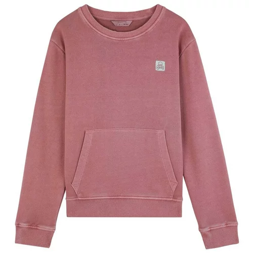 Scalpers Sweater majica 'Haiti' menta / burgund