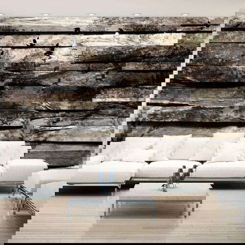 Samoljepljiva foto tapeta - Memory of Trees 441x315 Slike