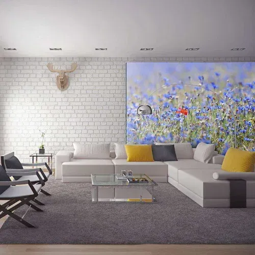  tapeta - A sky-colored meadow - cornflowers 400x309