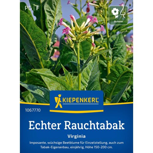 KIEPENKERL Pravi tobak za kajenje - 1 pkt. Cene