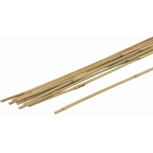 Štap bambusov (10 komada) Slike