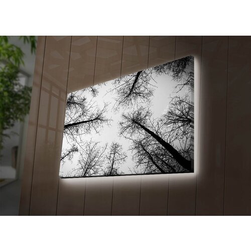Wallity Slika sa LED osvetljenjem 4570DACT-65, 45x70 cm Cene