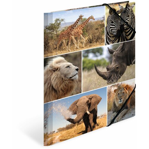 Herma Plastificirana fascikla sa gumicom Africa animals 240x320x15mm &amp;scaron;arena Slike