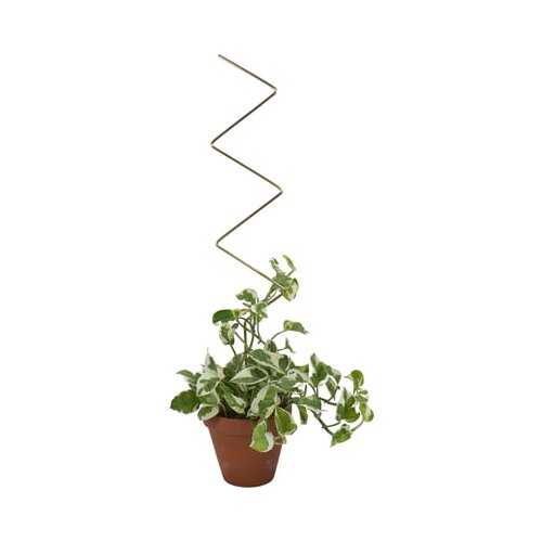 Botanopia Podpora za rastline - ZigZag Cene