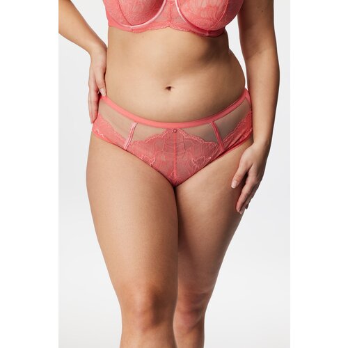 Avalingerie Klasične gaćice Careen Coral s visokim strukom Cijene