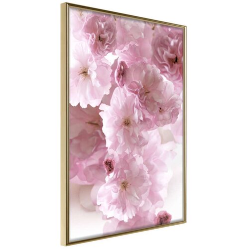  Poster - Path Paved with Flowers 20x30 Slike