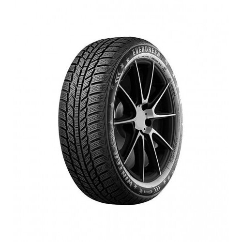 Evergreen Guma zimska 205/60R16XL 96H Cijene